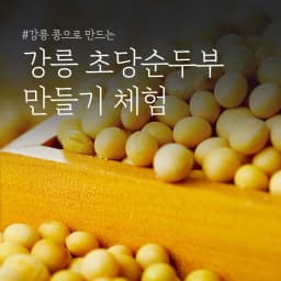 두부 & 순두부 만들기 체험 모임 사진